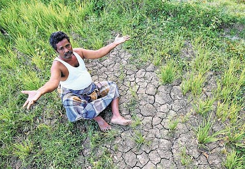 வறட்சி நிவாரண நிதியாக தமிழகத்துக்கு ரூ.1,748 கோடி: மத்திய அரசு வழங்கியது