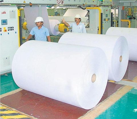 வெள்ளை தங்கம்!