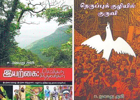 காட்டுயிர் எழுத்தாளரின் தார்மீகக் கோபம்