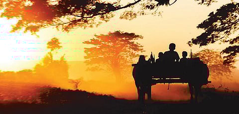 என் பாதையில்: கிராமத்து அத்தியாயம்