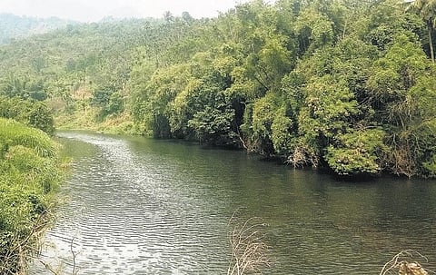 அட்டப்பாடி பவானியில் பசுவய்யன வாய்க்காலுக்கு மட்டும் கூடுதல் நீர்? - சர்ச்சை கிளப்பும் கேரள விவசாயிகள்