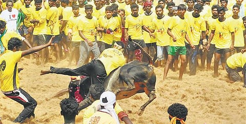 சிவகங்கை அருகே ஜல்லிக்கட்டில் 2 பேர் பலி: 90 மாடுபிடி வீரர்கள் காயம்