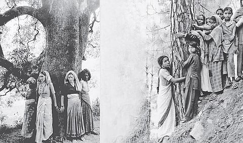 வான் மண் பெண் 02: தேவதாருவைக் காத்த தேவதை!