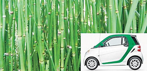 மூங்கில் கார்!