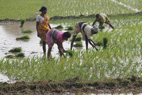 விவசாய வருவாய்க்கு வரிவிதிப்பு கிடையாது: அருண் ஜேட்லி