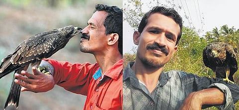 உயிரைக் காப்பாற்றியவர் மீது பாசத்தை பொழியும் பருந்து: பொள்ளாச்சி அருகே கிராமத்தில் ஓர் அதிசயம்