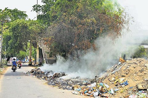 சாலையோரம் எரிக்கப்படும் குப்பைகளால் சுற்றுச்சூழல் சீர்கேடு: தீப்பற்றுவதால் பட்டுப்போகும் மரங்கள்