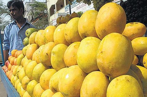 பங்கனப்பள்ளி மாம்பழத்துக்கு புவிசார் குறியீடு