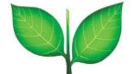 இரட்டை இலை சின்னம் விவகாரம்: லஞ்சம் பெற முயன்ற தேர்தல் ஆணைய அதிகாரி யார்? - பெயரை வெளியிடாத டெல்லி போலீஸ்