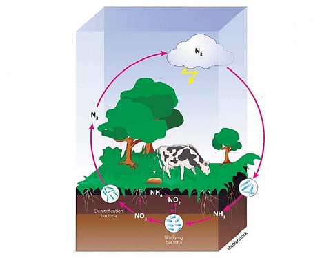 தொட்டனைத்து ஊறும் அமிழ்தம் 32: உலகெங்கும் நிறைந்திருக்கும் வாயு