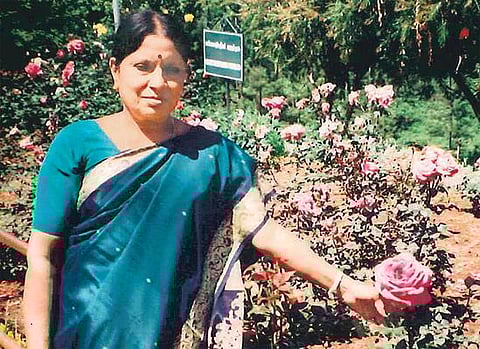 இது எங்க சுற்றுலா: பாதாளத்துக்குப் பக்கத்தில்