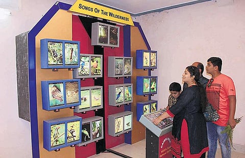 கவனம் பெறாத உதகை சுற்றுலா தலங்கள்