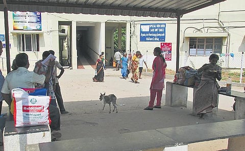 பொள்ளாச்சி அரசு மருத்துவமனையில் நாய்கள் தொல்லையால் பரிதவிக்கும் பொதுமக்கள்