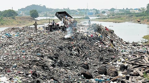 சென்னை மாநகராட்சி ராயபுரம் மண்டலத்தில் குப்பையை துரிதமாக அகற்ற சிறப்பு படை