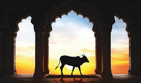 வான்கலந்த மாணிக்கவாசகம் 28: பசு பாசம் என்னும் உலகப்பற்று