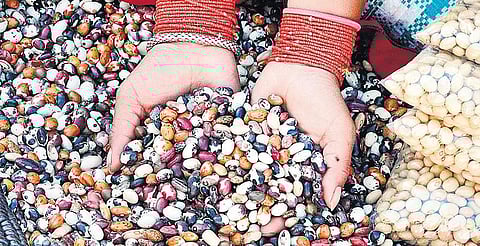 குறுந்தொடர் - விதை: நம் பெரும் சொத்து