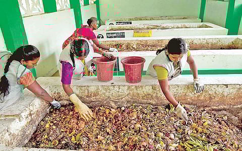 திருச்சி மாநகராட்சியின் இலவச இயற்கை உரம்: தினசரி 10 டன் உற்பத்தி