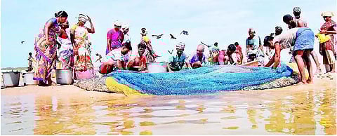 மீன்பிடித் தடைக்காலத்தால் மீன்கள் விலை உயர்வு: நாட்டுப்படகு மீனவர்கள் மகிழ்ச்சி