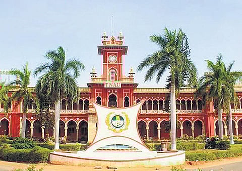 வேலை வேண்டுமா? - வேளாண் பல்கலைக்கழகத்தில் பணி