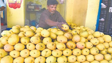 பணமதிப்பு நீக்கம், வறட்சி காரணங்களால் மாம்பழம், சாத்துக்குடி வரத்து குறைவு; விற்பனை பாதிப்பு