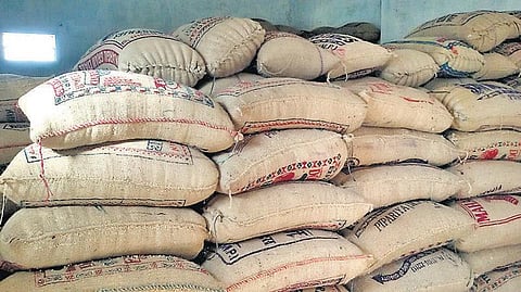 கடும் வறட்சி, வேலையின்மையால் விதைப்புக்காக சேமித்து வைத்திருந்த தானியங்களை விற்கும் விவசாயிகள்