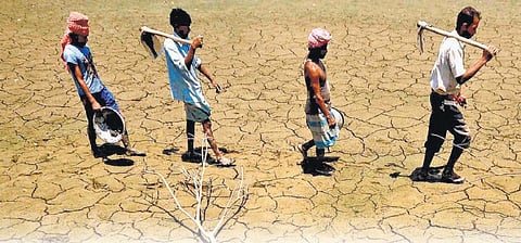 தட்பவெப்ப நிலை தகவலை குறுஞ்செய்தியாக அனுப்ப 62 லட்சம் விவசாயிகளின் விவரங்கள் சேகரிப்பு