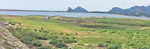 50 ஆண்டுகளுக்கு பிறகு திருமூர்த்தி, அமராவதி அணைகளில் தூர் வாரும் பணி: வண்டல் மண் எடுக்க அனுமதித்ததால் விவசாயிகள் மகிழ்ச்சி