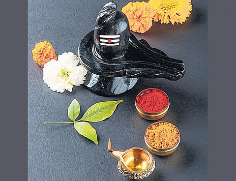 வான்கலந்த மாணிக்கவாசகம் 30: சிவபூசைக்கான சிறந்த மலர்!