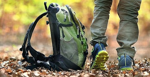 கோடை விடுமுறையில் என்ன செய்கிறோம்?