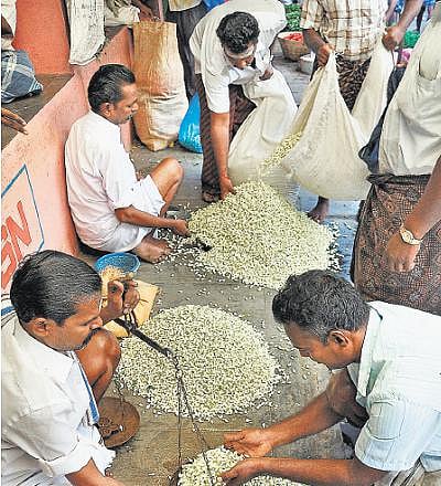 25 ஏக்கரில் ரூ.5.50 கோடி செலவில் மல்லிகை மகத்துவ மையம்: மதுரை மல்லிக்கு சர்வதேச அங்கீகாரம் கிடைக்க வாய்ப்பு