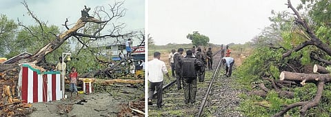 சிவகங்கை, திருப்பத்தூரில் இடியுடன் மழை: மின்கம்பங்கள், மரங்கள் முறிந்ததால் ரயில்கள் தாமதம்