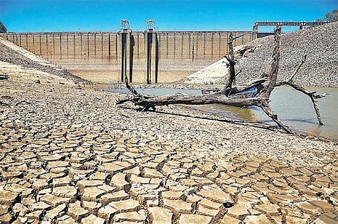 நெல்லை மாவட்டத்தில் உள்ள அணைகளின் நீர் இருப்பு வெறும் 3.8 சதவீதம்: மார்ச், ஏப்ரலை விட மே மாதம் மழை அதிகம்