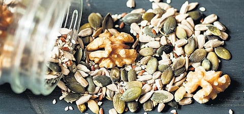 குறுந்தொடர் - விதை: விதை வளத்தைக் கொள்ளையடிக்க நடக்கும் முயற்சிகள்