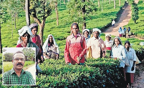 ‘இலங்கை மலையகத் தமிழர்களிடம் காட்டும் பரிவை எங்களிடமும் காட்டுங்கள்’: பிரதமருக்கு கோரிக்கை விடுக்கும் இந்திய வம்சாவளி மலையகத் தமிழர்கள்