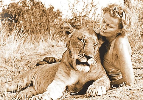 வான் மண் பெண் 07: சிங்கங்களின் சிற்றன்னை!