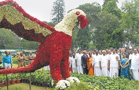 ஜெ. படத்தை திறந்து வைத்தால்தான் சட்டப்பேரவைக்கே பெருமை: முதல்வர் பழனிசாமி கருத்து