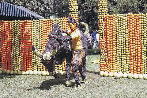 வாடிவாசலில் ஏறுதழுவும் வீரன் வடிவமைப்பு: பார்வையாளர்களை கவர்ந்த பழக் கண்காட்சி