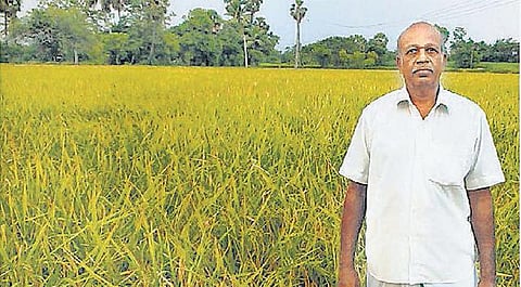 கால் கிலோ விதை நெல்லில் ஒரு ஏக்கர் சாகுபடி: 4 டன் வரை மகசூல் எடுக்கும் சாதனை விவசாயி - நாளை நேரடி செயல் விளக்கம் அளிக்கிறார்