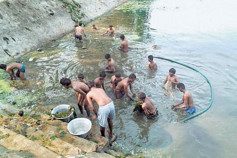 மாமல்லபுரத்தை அடுத்த வெண்புருஷம் கிராமத்தில் குளத்தை தூர்வாரி சீரமைக்கும் இளைஞர்கள்