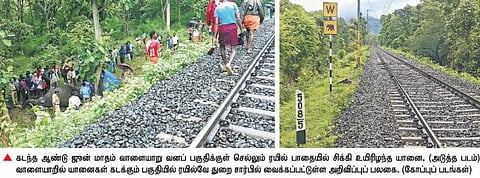 வாளையாறு வனப் பகுதியில் ரயிலில் சிக்கி யானைகள் இறப்பதை தடுக்க பிரத்தியேகமாக நியமிக்கப்பட்ட 6 வேட்டைத் தடுப்புக் காவலர்கள்