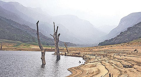 பாபநாசம் அணை நீர்மட்டம் கவலைக்கிடம்: 17 அடியானதால் குடிநீருக்கும் சிக்கல் ஏற்படும் அபாயம்