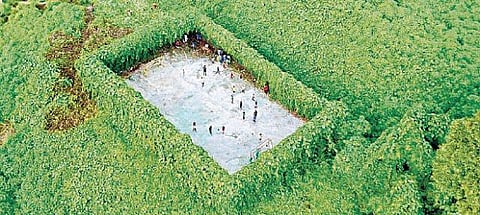 உலக மசாலா: உலகின் பசுமையான கால்பந்து மைதானம்!