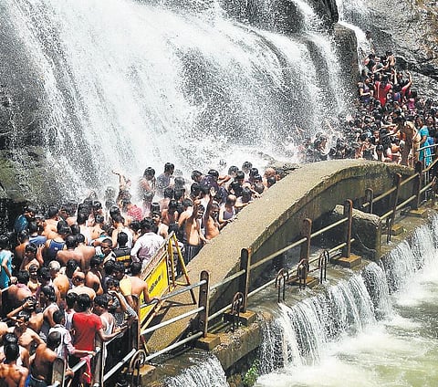 நீர்பிடிப்பு பகுதிகளில் மழை எதிரொலி: பாபநாசம் அணைக்கு நீர்வரத்து 1,633 கன அடியாக அதிகரிப்பு - சேர்வலாறு நீர்மட்டம் ஒரேநாளில் 19 அடி உயர்வு