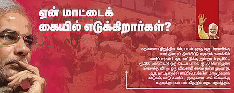 ஏன் மாட்டைக் கையில் எடுக்கிறார்கள்?