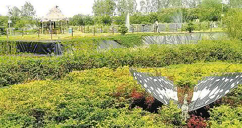 வண்ணத்துப்பூச்சிகள் குறித்த ஒருநாள் சான்றிதழ் படிப்பு: தமிழகத்திலேயே முதல்முறையாக திருச்சியில் அறிமுகம்