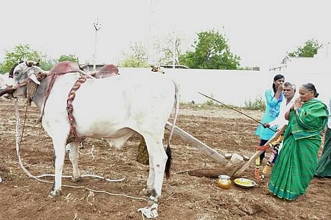 3 வருட வறட்சிக்குப் பிறகு ஆந்திர விவசாயிகளிடம் நம்பிக்கையை விதைத்த மழை
