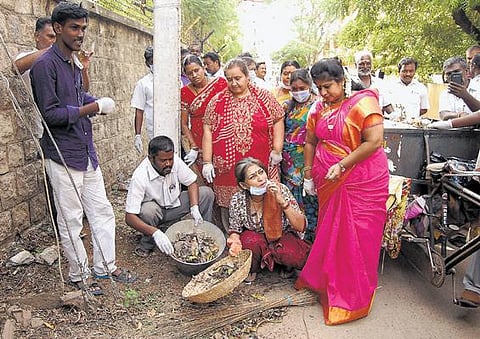 மதுரையில் துப்புரவு பணியில் ஈடுபட்ட பாஜக பெண் எம்.பி.