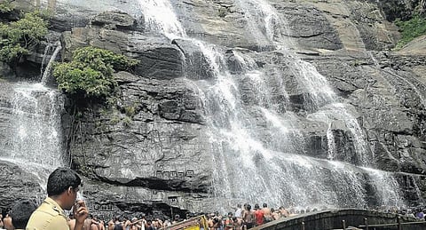 குற்றாலத்தில் களைகட்டிய சாரல்: அருவிகளில் தண்ணீர் தாராளம்