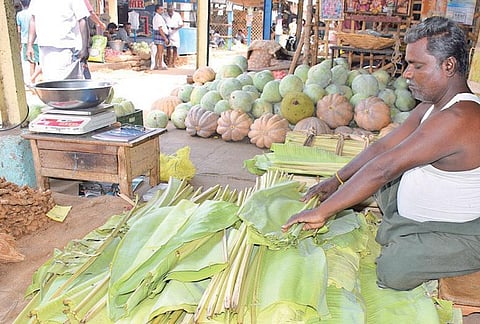 என்னடா இந்த இலைக்கு வந்த சோதனை..