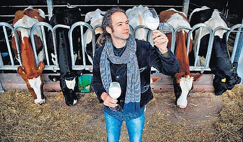 உலக மசாலா: அப்படியே குடிக்கலாம்!